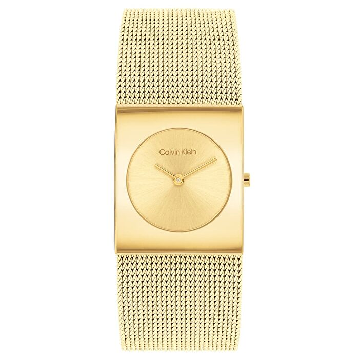 Calvin Klein CK25100062 Kadın Kol Saati