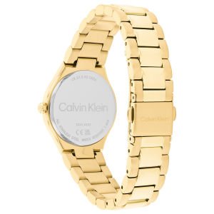 Calvin Klein CK25200333 Kadın Kol Saati