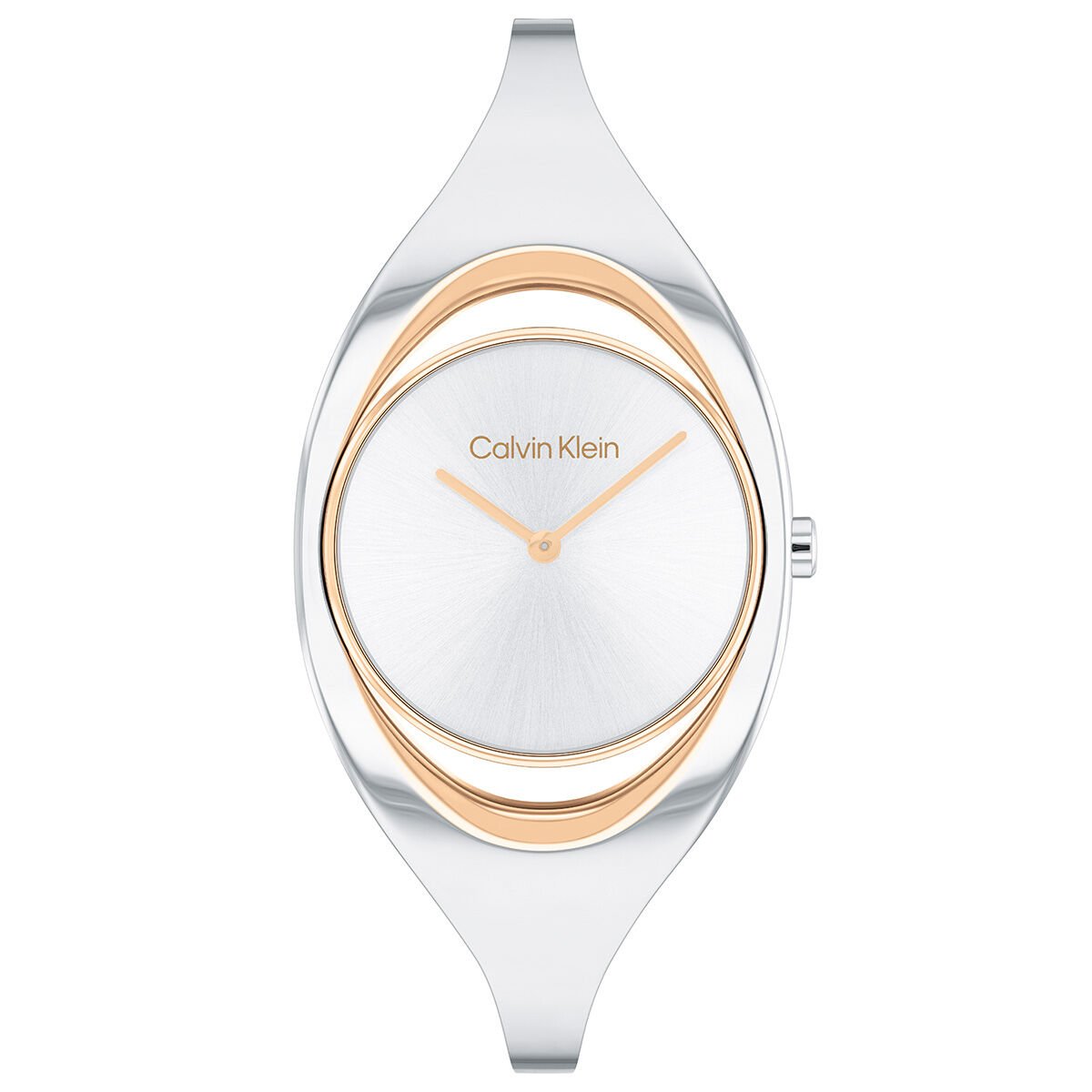 Calvin Klein CK25200393 Kadın Kol Saati