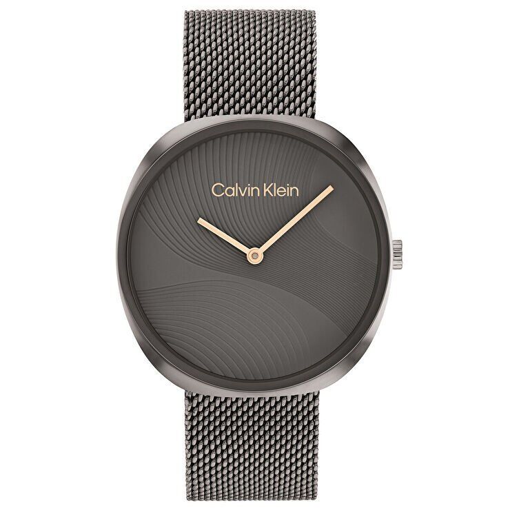 Calvin Klein CK25200248 Kadın Kol Saati