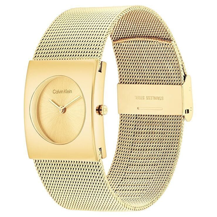 Calvin Klein CK25100062 Kadın Kol Saati