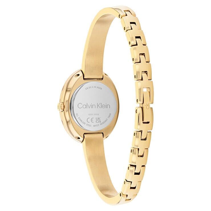 Calvin Klein CK25100203 Kadın Kol Saati