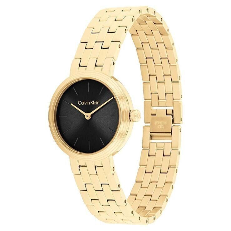 Calvin Klein CK25100187 Kadın Kol Saati