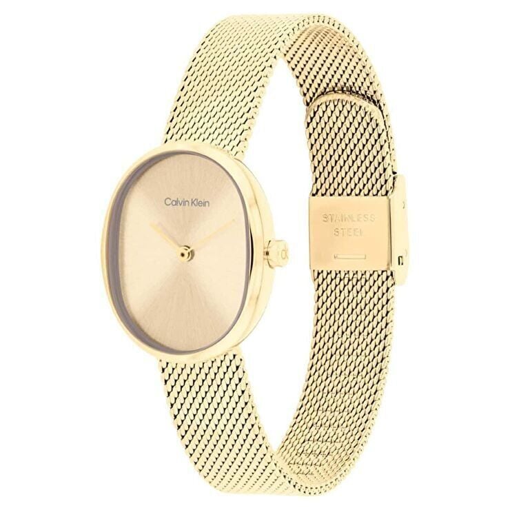 Calvin Klein CK25100174 Kadın Kol Saati