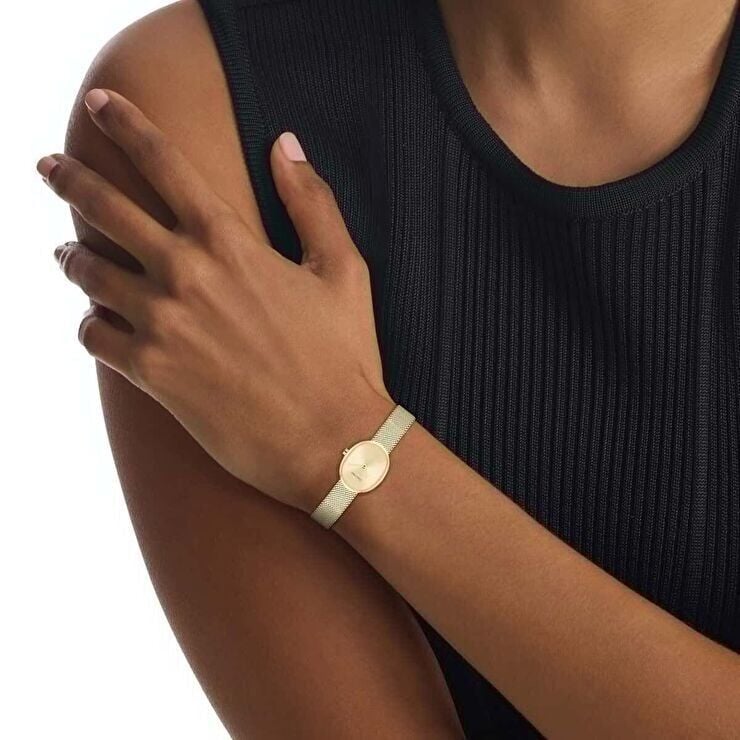Calvin Klein CK25100174 Kadın Kol Saati