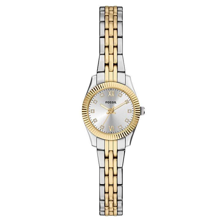 Fossil FES5473 Kadın Kol Saati